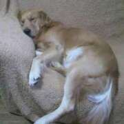 ヒメ日記 2025/06/02 17:24 投稿 まなか アラモード