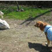 ヒメ日記 2025/06/06 12:16 投稿 まなか アラモード