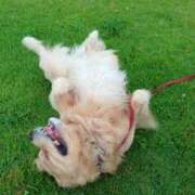 ヒメ日記 2025/06/23 10:20 投稿 まなか アラモード