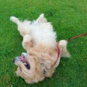 ヒメ日記 2025/07/02 23:53 投稿 まなか アラモード