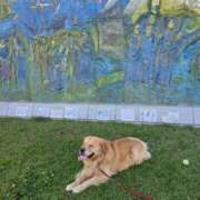 ヒメ日記 2025/07/27 12:15 投稿 まなか アラモード