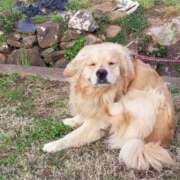 ヒメ日記 2025/07/29 12:52 投稿 まなか アラモード