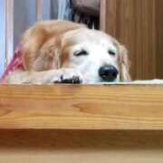 ヒメ日記 2025/08/25 18:40 投稿 まなか アラモード