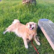 ヒメ日記 2025/09/16 12:45 投稿 まなか アラモード