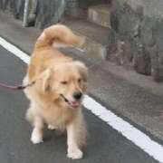 ヒメ日記 2025/10/10 12:03 投稿 まなか アラモード