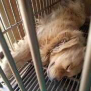 ヒメ日記 2025/10/14 16:26 投稿 まなか アラモード