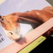 ヒメ日記 2025/10/18 00:51 投稿 まなか アラモード