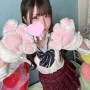 ヒメ日記 2024/12/14 18:29 投稿 ちな※完全業界未経験♫ きらめけ！にゃんにゃん学園in大宮