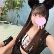 ヒメ日記 2024/12/24 22:57 投稿 ちな※完全業界未経験♫ きらめけ！にゃんにゃん学園in大宮