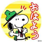 ヒメ日記 2025/04/08 11:17 投稿 みわ ミスミセス