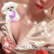 ヒメ日記 2025/04/28 14:50 投稿 えみな 新宿11チャンネル