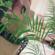 ヒメ日記 2025/06/21 14:01 投稿 えみな 新宿11チャンネル