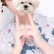 ヒメ日記 2025/08/13 11:20 投稿 えみな 新宿11チャンネル