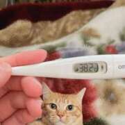 えみな 今日も欠席ですｺﾞﾎｯ...ｳﾞ...ｹﾞﾎｯｺﾞﾎｯｺﾞﾎｯ... 新宿11チャンネル