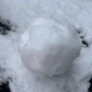 ヒメ日記 2025/02/06 08:20 投稿 体験☆サイリ チュパチャップス