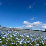 ヒメ日記 2025/10/01 09:20 投稿 体験☆サイリ チュパチャップス