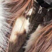 ヒメ日記 2026/03/07 11:20 投稿 体験☆サイリ チュパチャップス