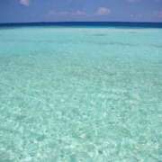 ヒメ日記 2025/07/31 21:29 投稿 希　望 [ノゾミ] ゆるふわ彼女