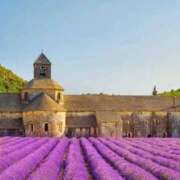 ヒメ日記 2025/11/12 22:33 投稿 希　望 [ノゾミ] ゆるふわ彼女