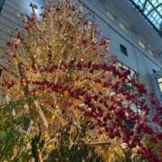 ヒメ日記 2025/12/22 18:53 投稿 希　望 [ノゾミ] ゆるふわ彼女