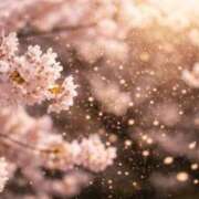 ヒメ日記 2026/02/28 19:33 投稿 希　望 [ノゾミ] ゆるふわ彼女