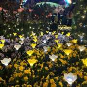 ヒメ日記 2024/12/13 07:48 投稿 園田ねね 西川口デッドボール