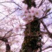 ヒメ日記 2025/03/28 18:18 投稿 園田ねね 西川口デッドボール