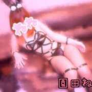 ヒメ日記 2025/05/02 14:38 投稿 園田ねね 西川口デッドボール