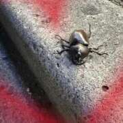 ヒメ日記 2025/07/22 17:28 投稿 園田ねね 西川口デッドボール