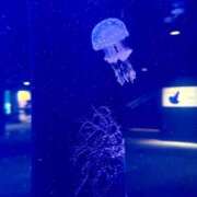 ヒメ日記 2025/08/11 20:08 投稿 園田ねね 西川口デッドボール