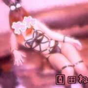 ヒメ日記 2025/09/04 18:15 投稿 園田ねね 西川口デッドボール