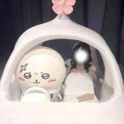 ヒメ日記 2025/10/24 15:21 投稿 うらら マリン土浦本店