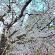 ヒメ日記 2025/04/02 04:31 投稿 あゆな 実録！おとなのわいせつ倶楽部