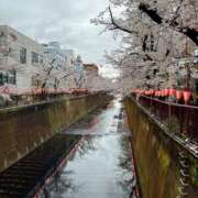 ヒメ日記 2025/04/03 02:51 投稿 松風みやび Mrs. Dandy Shinjuku