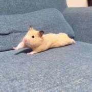 ヒメ日記 2025/05/18 23:14 投稿 坂井みる ブルーバード