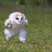 ヒメ日記 2025/02/26 14:18 投稿 月乃(つきの) 高崎回春性感SPA