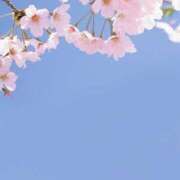 ヒメ日記 2025/04/03 12:52 投稿 雪原ゆうき AJ DOLLS(エージェイドールズ)