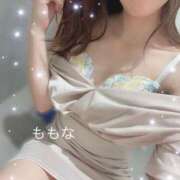 ヒメ日記 2025/03/18 12:32 投稿 桃菜(ももな) 京都泡洗体ハイブリッドエステ