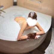 ヒメ日記 2025/04/19 10:01 投稿 桃菜(ももな) 京都泡洗体ハイブリッドエステ