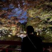 ヒメ日記 2025/11/20 20:02 投稿 桃菜(ももな) 京都泡洗体ハイブリッドエステ