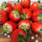 ヒメ日記 2025/02/20 22:25 投稿 ひなの 新大阪秘密倶楽部