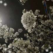 ヒメ日記 2025/04/24 22:55 投稿 ひなの 新大阪秘密倶楽部