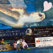 ヒメ日記 2025/07/05 16:45 投稿 ひなの 新大阪秘密倶楽部