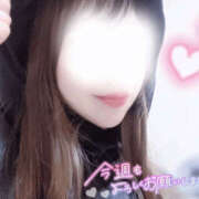 ヒメ日記 2026/03/04 10:20 投稿 ひなの 新大阪秘密倶楽部