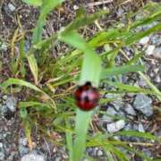 ヒメ日記 2025/02/21 01:55 投稿 ゆう 熟女総本店