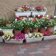 ヒメ日記 2025/04/25 00:15 投稿 ゆう 熟女総本店