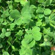 ヒメ日記 2025/06/06 00:55 投稿 ゆう 熟女総本店