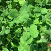 ヒメ日記 2025/10/13 17:25 投稿 ゆう 熟女総本店