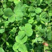 ヒメ日記 2025/11/22 20:05 投稿 ゆう 熟女総本店