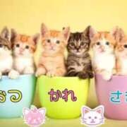 ヒメ日記 2025/12/30 19:08 投稿 ゆう 熟女総本店